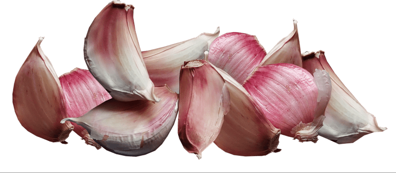 Garlic 3791503 1920
